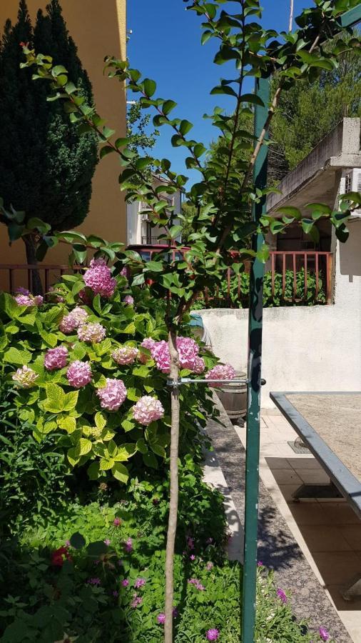Apartment Babic