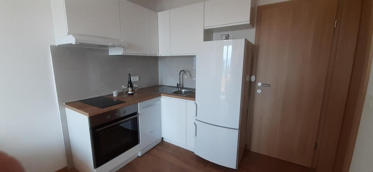 Apartment Babic *